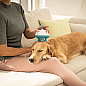Массажер для домашних животных PP410