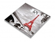 GS 203 Весы напольные (Paris)